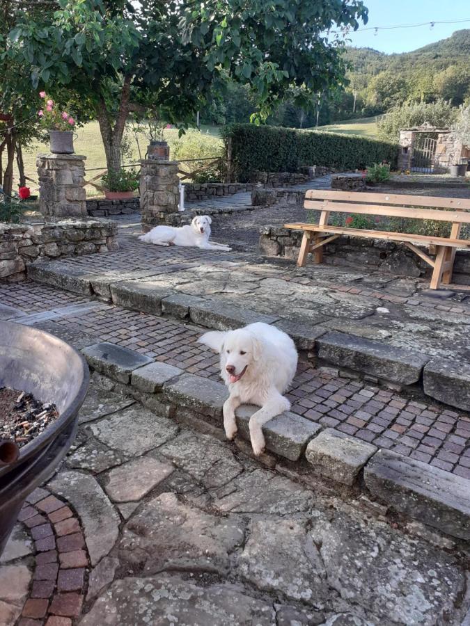 "Borgo Gerbina" Agriturismo & Azienda Agricola Sozzi 外观 照片